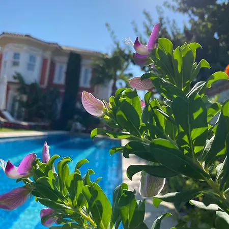 酒店 On 阿拉恰特