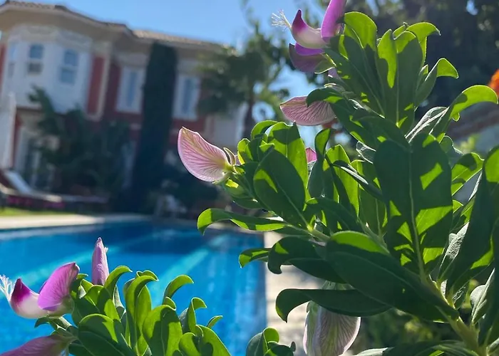 Отель On Алачати